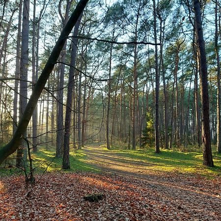 Apartamenty Sonata Miedzywodzie Esterno foto