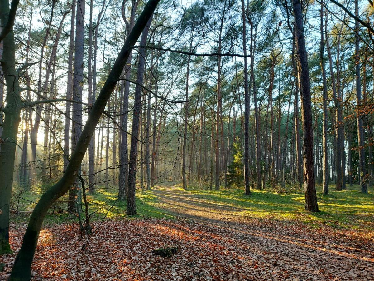 Apartamenty Sonata Miedzywodzie Esterno foto